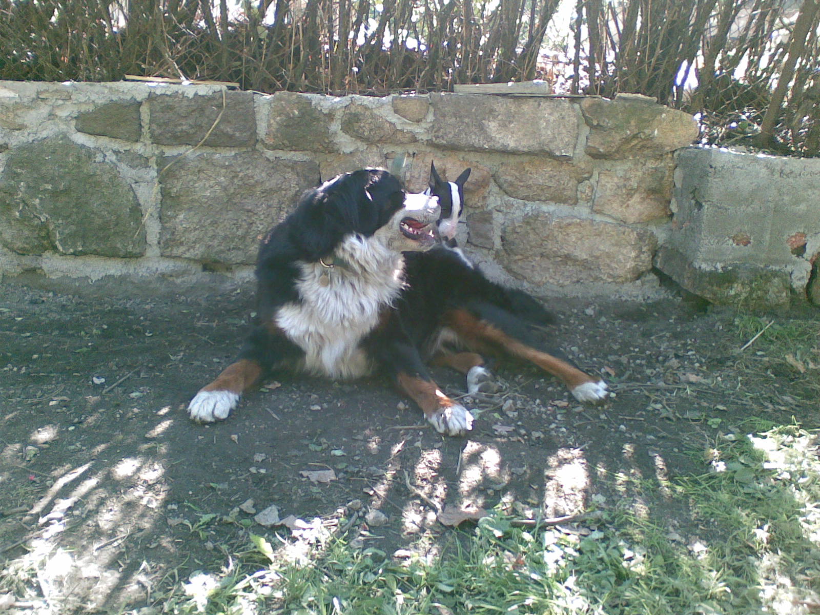 13092008(002).jpg