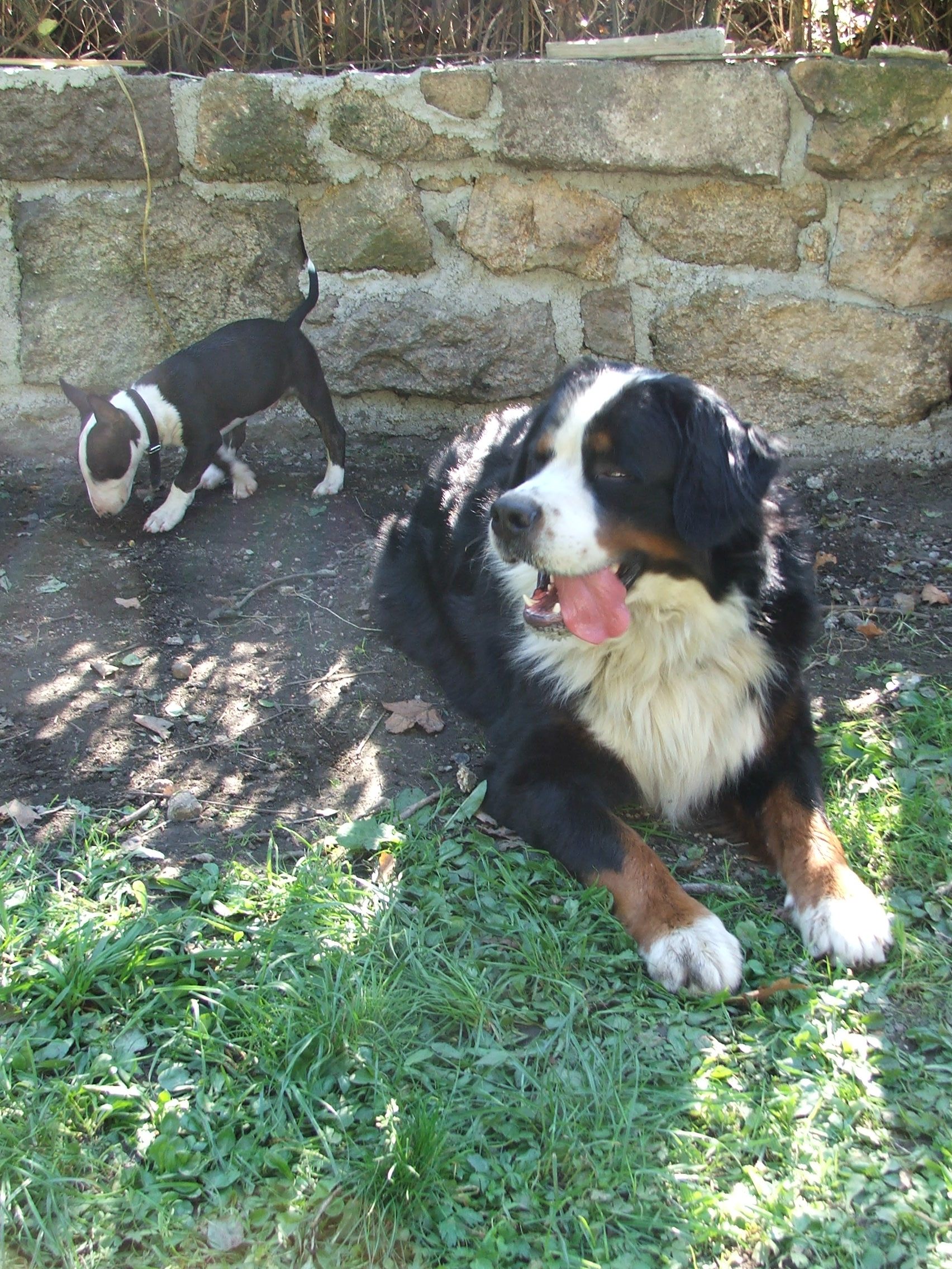DSCF3555.JPG