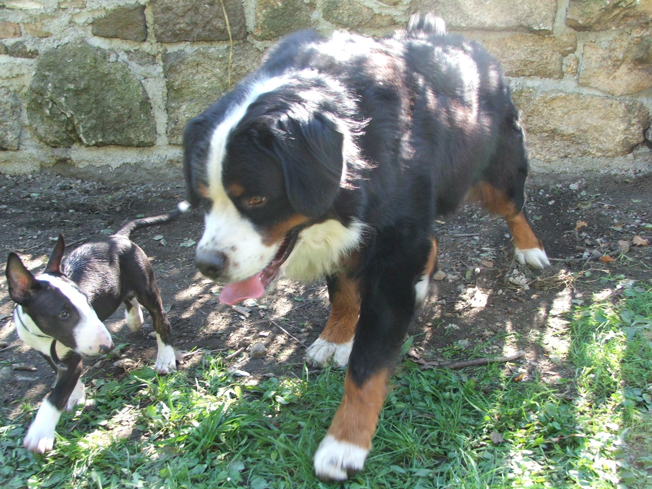 DSCF3558.JPG