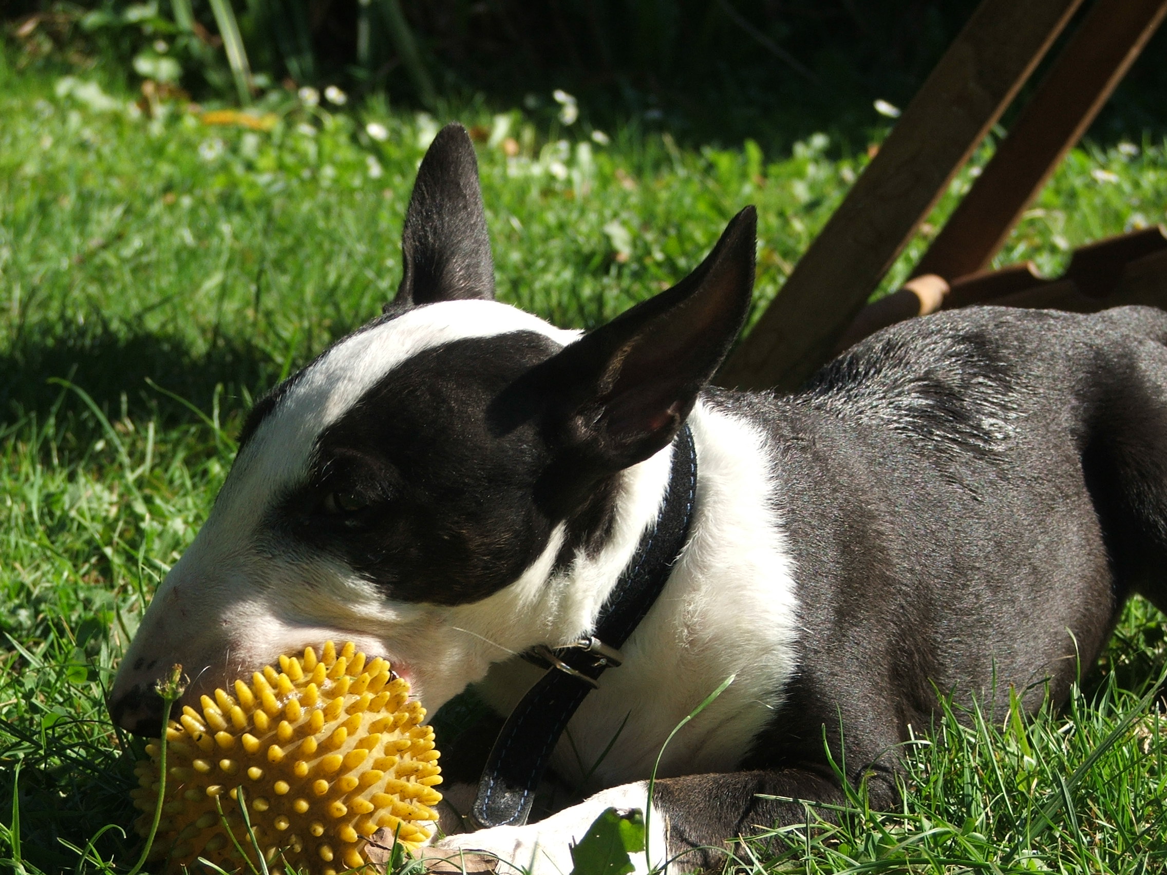 DSCF3590.JPG