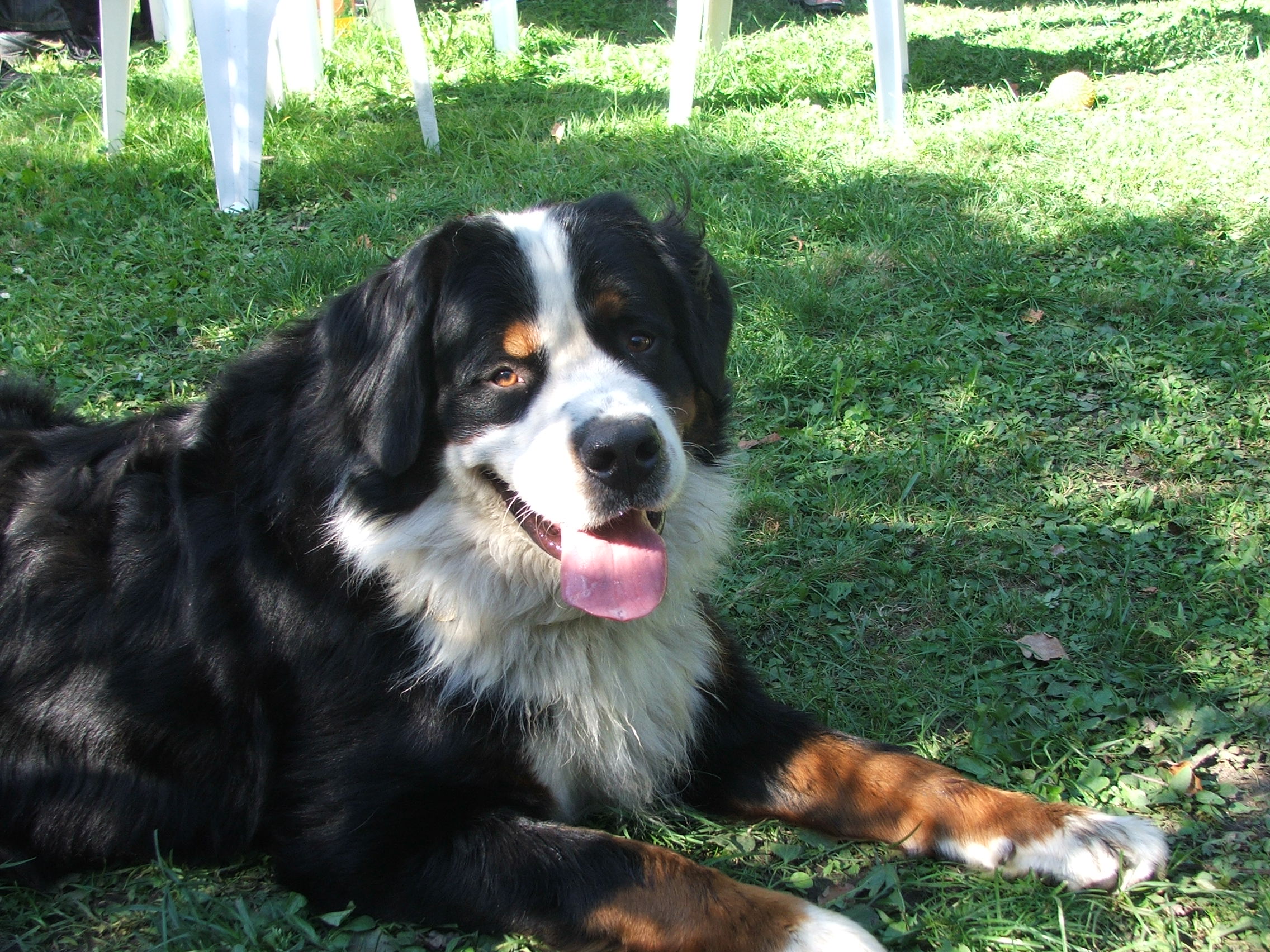 DSCF3603.JPG
